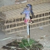 bank_west_lux_v_0013_egy3053.jpg